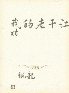 我的老千江湖txt