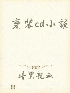 变装cd小说