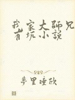 我家大师兄脑子有坑小说