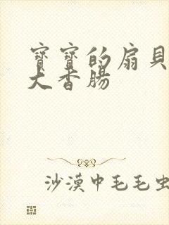 宝宝的扇贝想吃大香肠