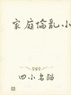 家庭伦乱小说封面