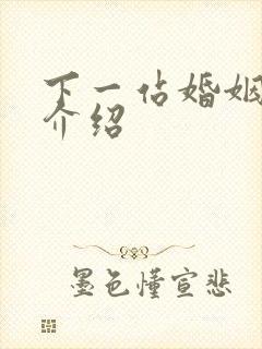 下一站婚姻剧情介绍