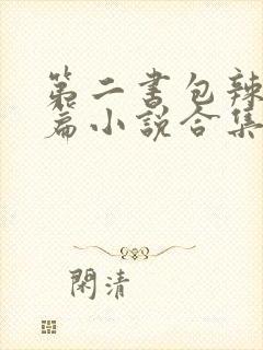 第二书包辣网短篇小说合集