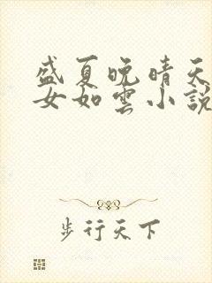 盛夏晚晴天之美女如云小说