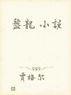 盘龙 小说