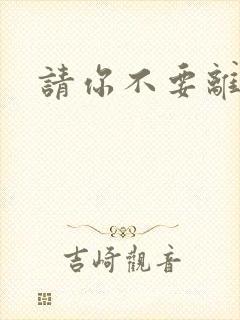 请你不要离开我