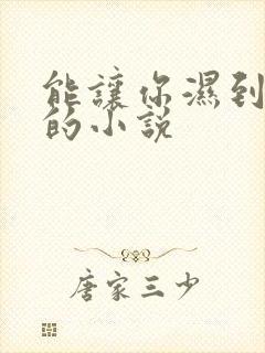 能让你湿到不行的小说