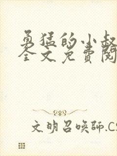 勇猛的小叔小说全文免费阅读