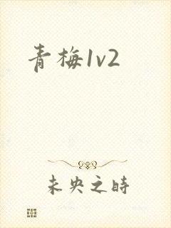 青梅1v2