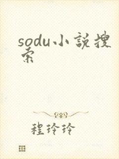sodu小说搜索