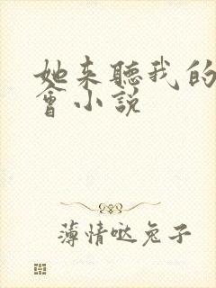 她来听我的演唱会小说