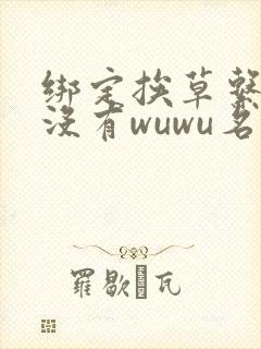 绑定挨草系统后没有wuwu名字
