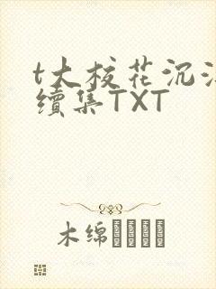 t大校花沉浮录续集TXT