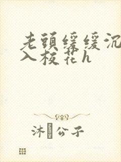 老头缓缓沉腰进入校花h