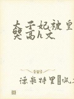 太子妃被皇上c哭高h文