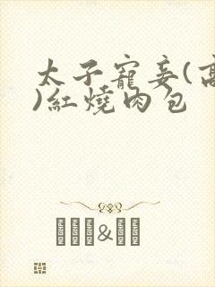 太子宠妾(高肉)红烧肉包