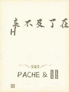 来不及了在车CH