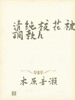 清纯校花被地狱调教h