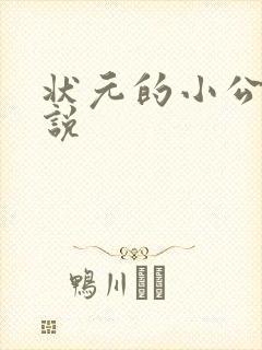 状元的小公主小说