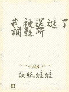 我被送进了私奴调教所