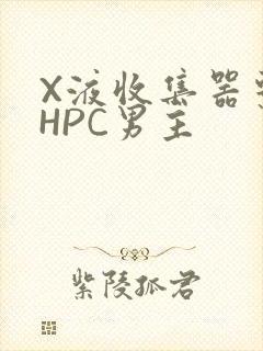 X液收集器系统HPC男主