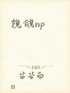 觊觎np