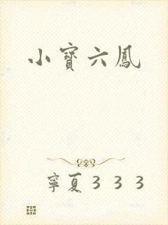 小宝六凤