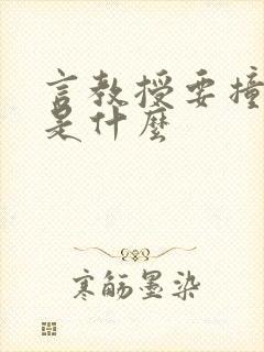 言教授要撞坏了是什么