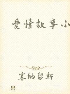 爱情故事小说