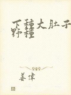 下种大肚子怀孕野种