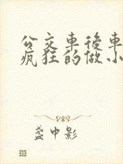 公交车后车座的疯狂的做小