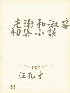 老卫和淑容1-40集小说封面