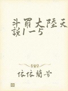 斗罗大陆天狂传说1一5