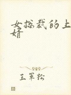 女总裁的上门女婿