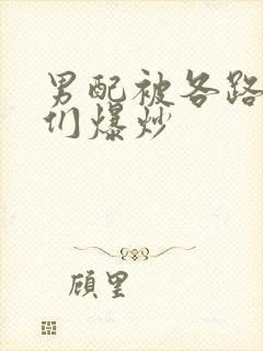 男配被各路大佬们爆炒