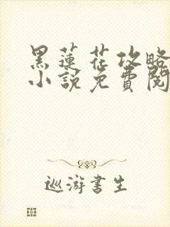 黑莲花攻略手册小说免费阅读封面