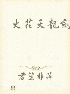 火花天龙剑封面