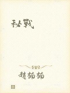 秘战