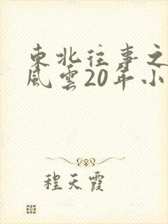 东北往事之黑道风云20年小说