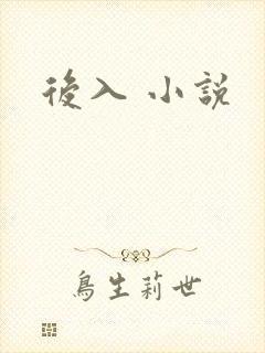 后入 小说