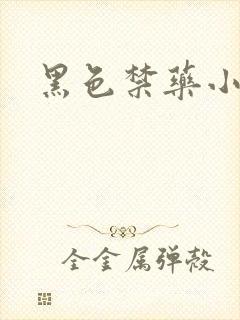黑色禁药小说