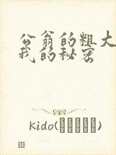 公翁的粗大放进我的秘密