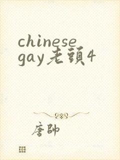 chinesegay老头4