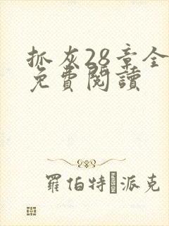 抓灰28章全部免费阅读