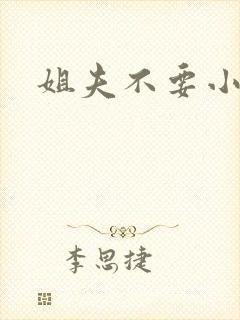 姐夫不要小说