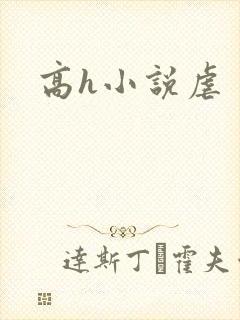 高h小说虐