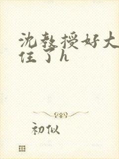 沈教授好大含不住了h