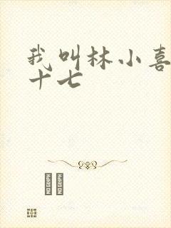 我叫林小喜今年十七