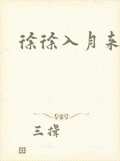 徐徐入月来