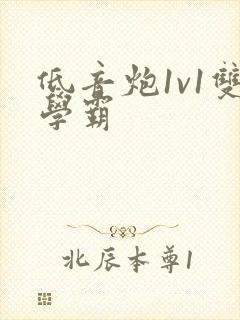 低音炮1v1双学霸